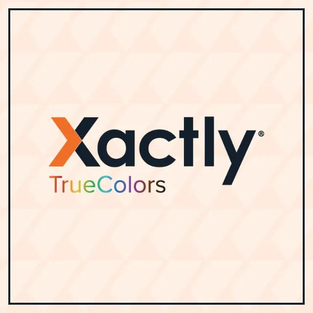 About Section Overhall - Affinity Groups: TrueColors: 640x640