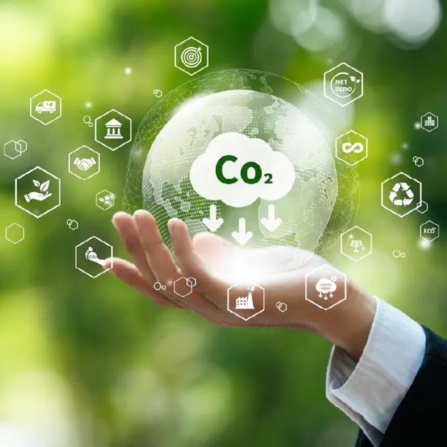 Reduce Your Carbon Footprint