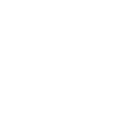 Currency Circle Dollar Icon